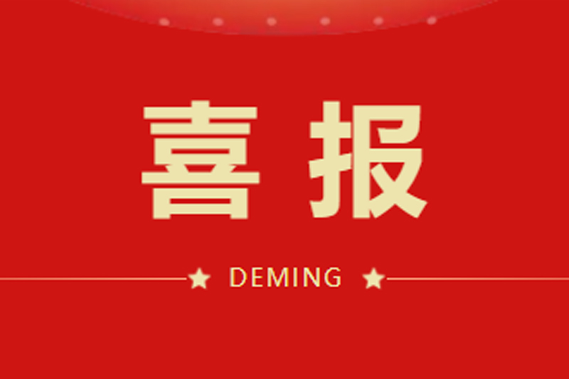 Good News | Honored and Advancing! Our Company Wins Four Prestigious Awards at the Annual Work Conference of Lishui Economic and Technological Development Zone